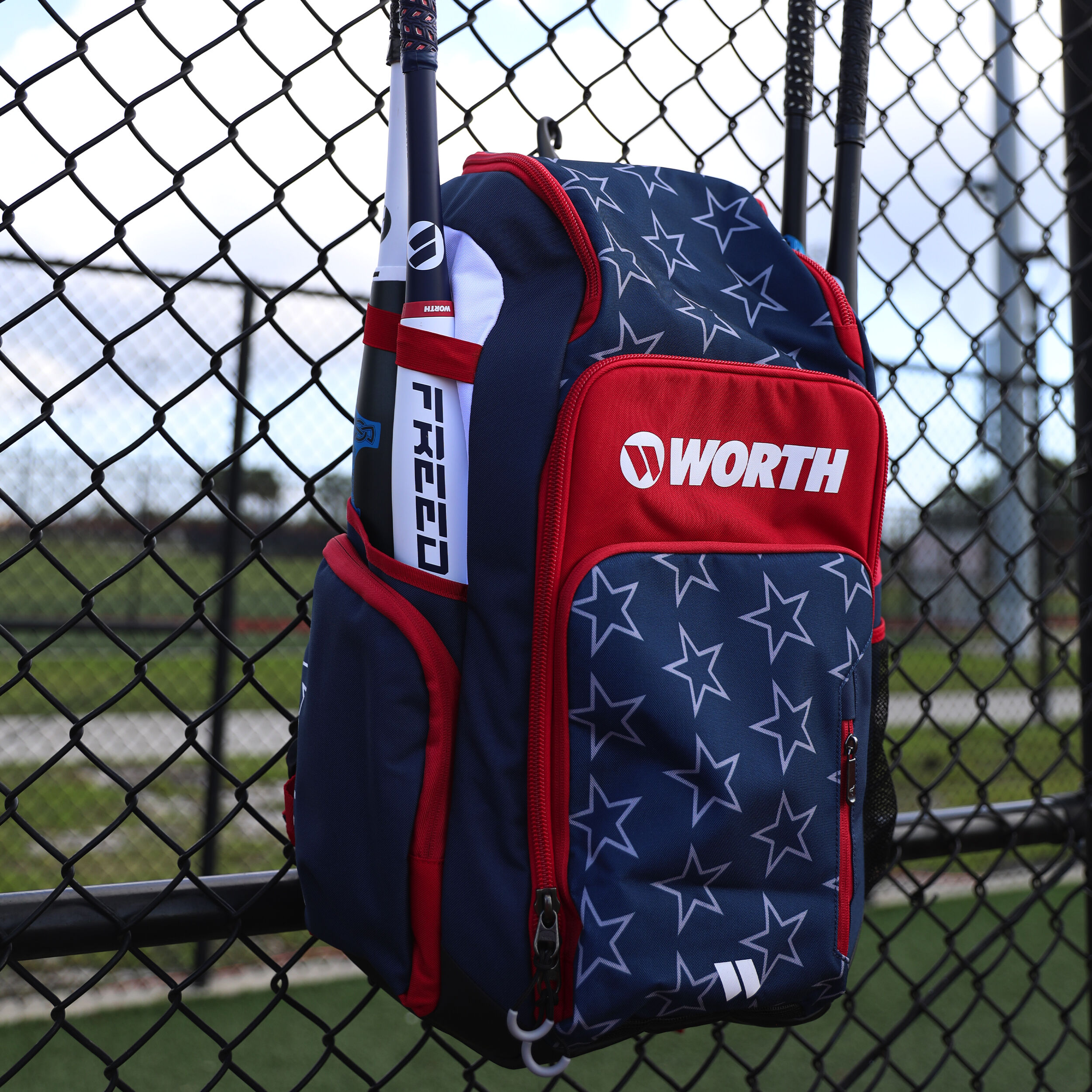 Worth bat bags top