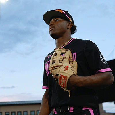 Rawlings Baseball/Softball Gloves | Official MLB® Glove | Worth